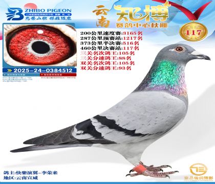 ����֪������117��