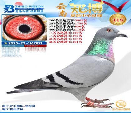 ����֪������118��