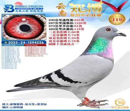 ����֪������119��