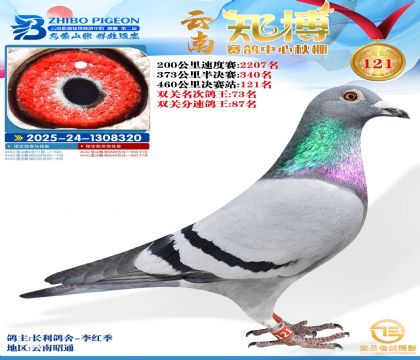 ����֪������121��