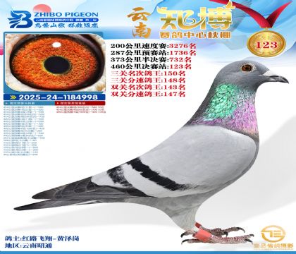 ����֪������123��