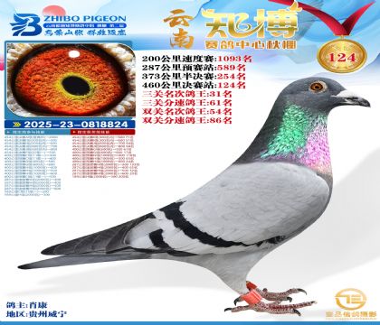 ����֪������124��