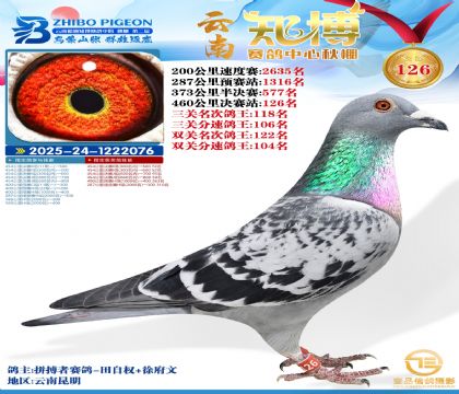 ����֪������126��