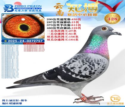 ����֪������128��