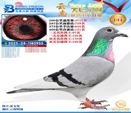 ����֪������131��