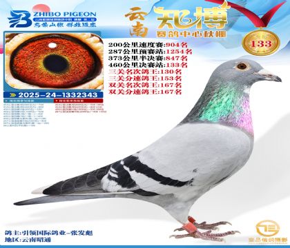 ����֪������133��