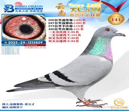 ����֪������141��