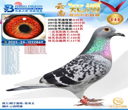 ����֪������144��