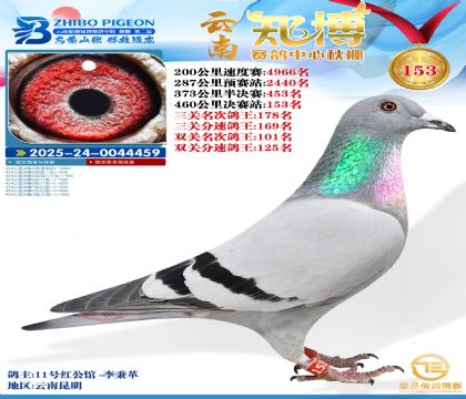 ����֪������153��