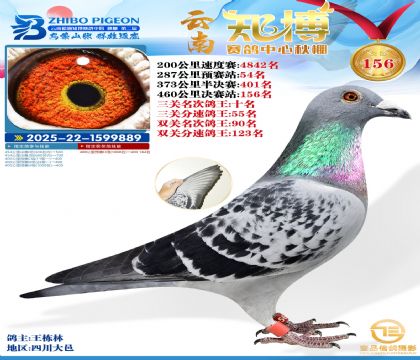 ����֪������156�������ظ���10����