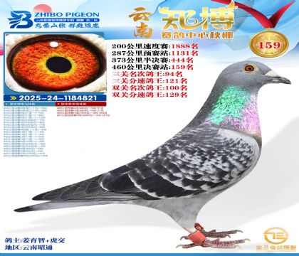 ����֪������159��