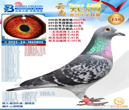 ����֪������158��