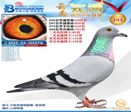 ����֪������161��