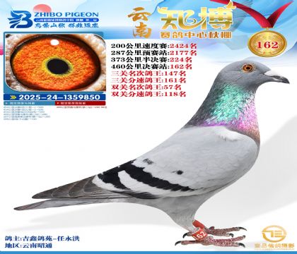 ����֪������162��