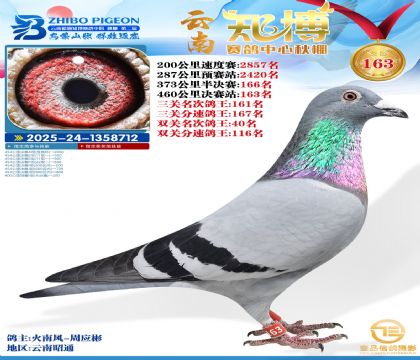 ����֪������163��