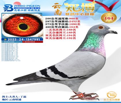 ����֪������164��