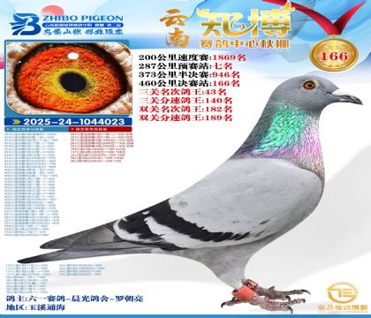 ����֪������166��