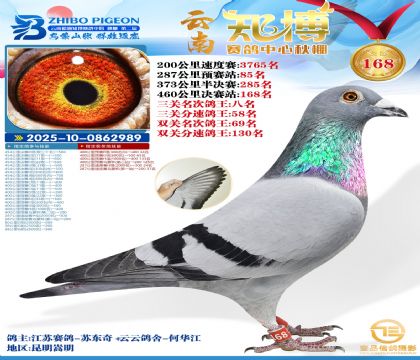 ����֪������168�������ظ���8����