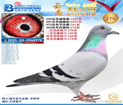 ����֪������170��