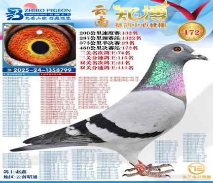 ����֪������172��