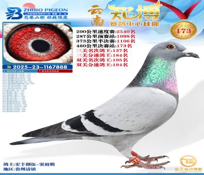 ����֪������173��