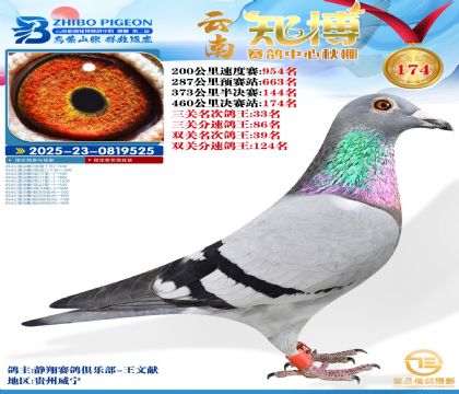 ����֪������174��