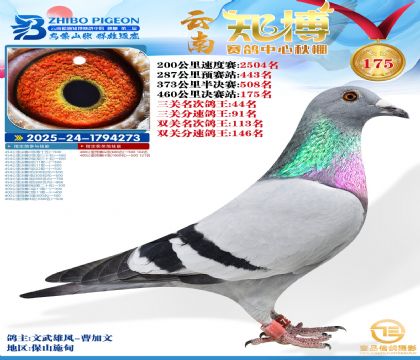 ����֪������175��