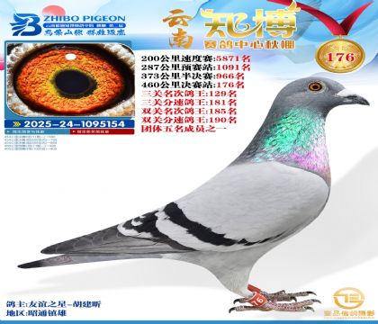 ����֪������176��