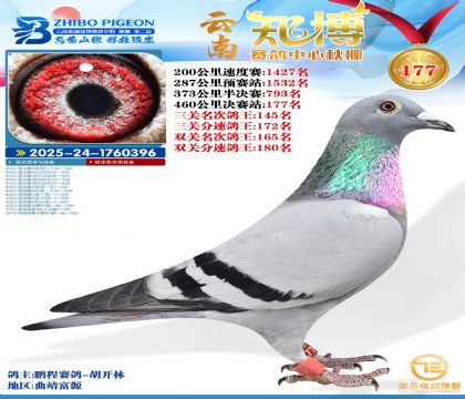 ����֪������177��