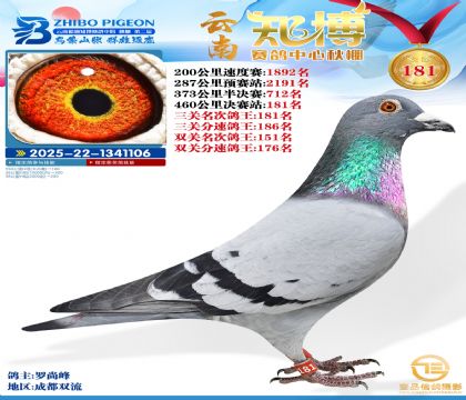 ����֪������181��