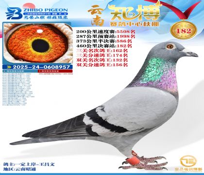 ����֪������182��