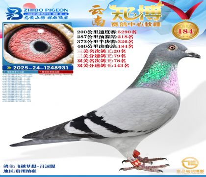 ����֪������184��