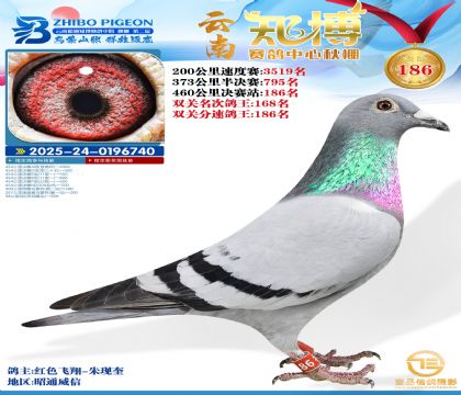 ����֪������186��