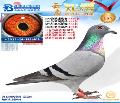 ����֪������187��