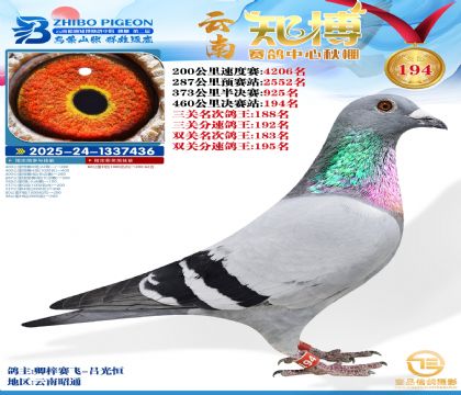 ����֪������194��