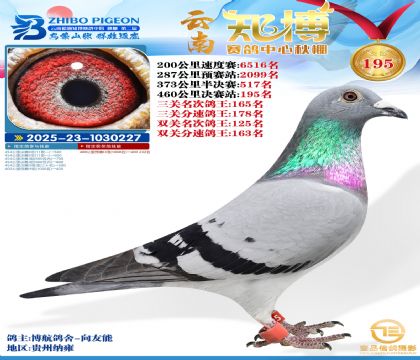 ����֪������195��