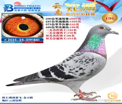 ����֪������196��