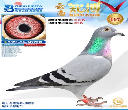 ����֪������197��