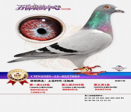 �����������ھ�