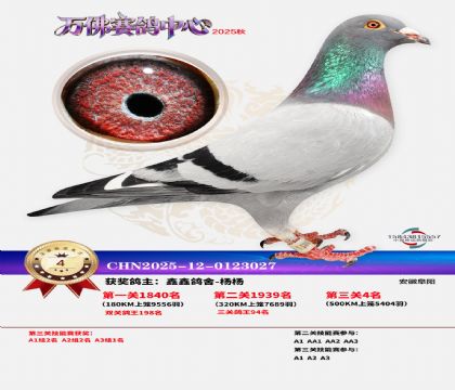 ����������4��