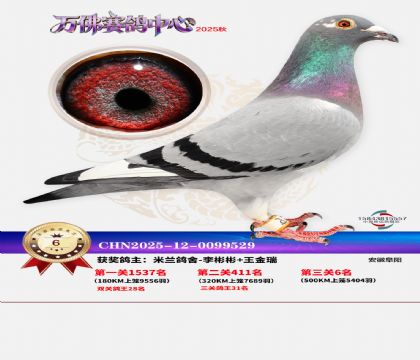 ����������6��