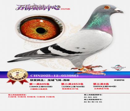 ����������8��