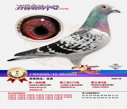 ����������9��