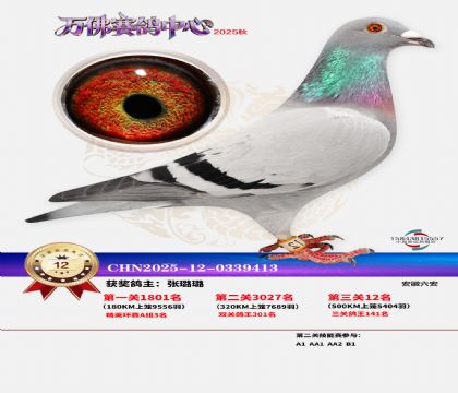 ����������12��