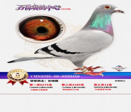 ����������13��