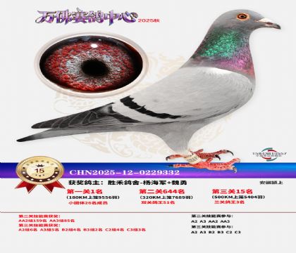 ����������15��