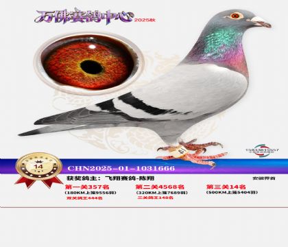 ����������14��