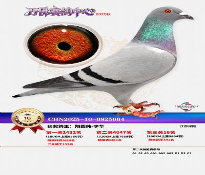 ����������16��