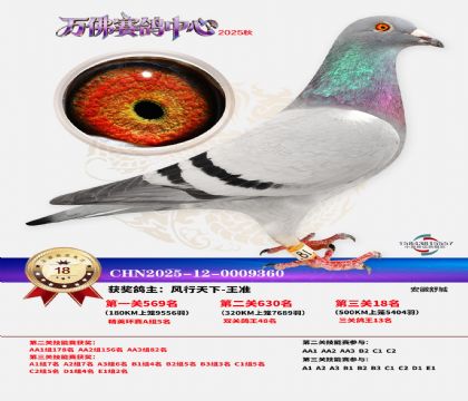 ����������18��