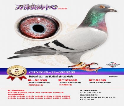 ����������19��